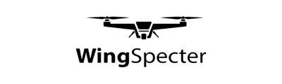 Customer 10